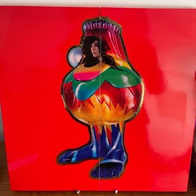 Bjork Limited Edition Vinyl Box UK LP